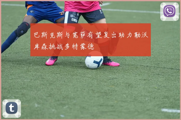 巴斯克斯与宽萨有望复出助力勒沃库森挑战多特蒙德